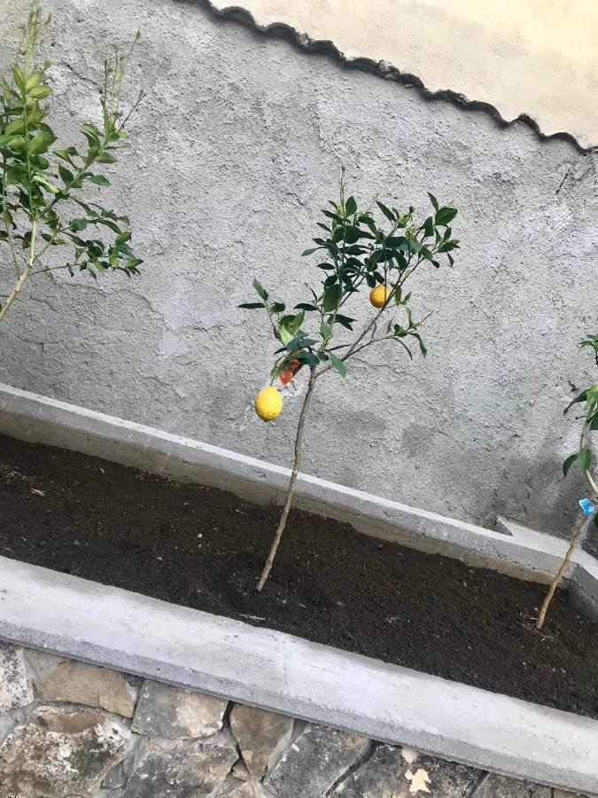 Le Due Porte Maiori Εξωτερικό φωτογραφία